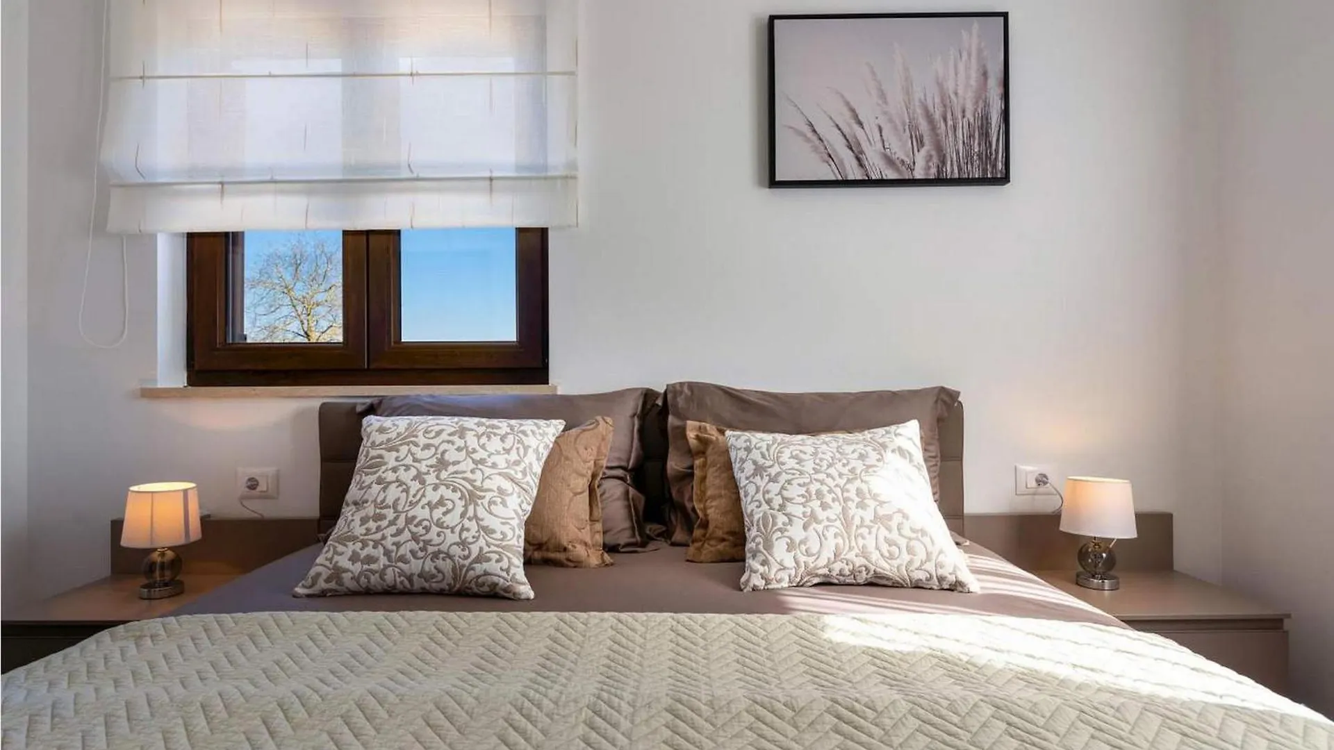 Villa Alena Vizinada Holiday home
